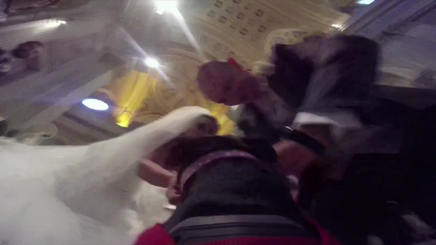 Just maried wedding dog