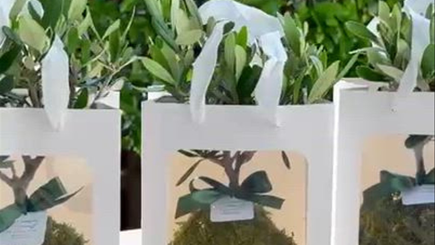 Home & Garden