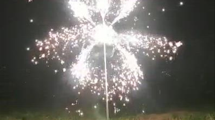 Fiore tridimensionale 