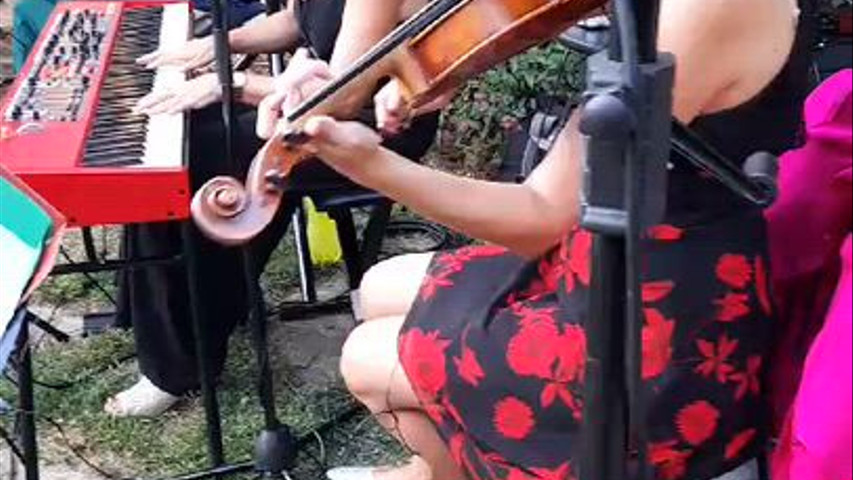 Aperitivo Live - Viola