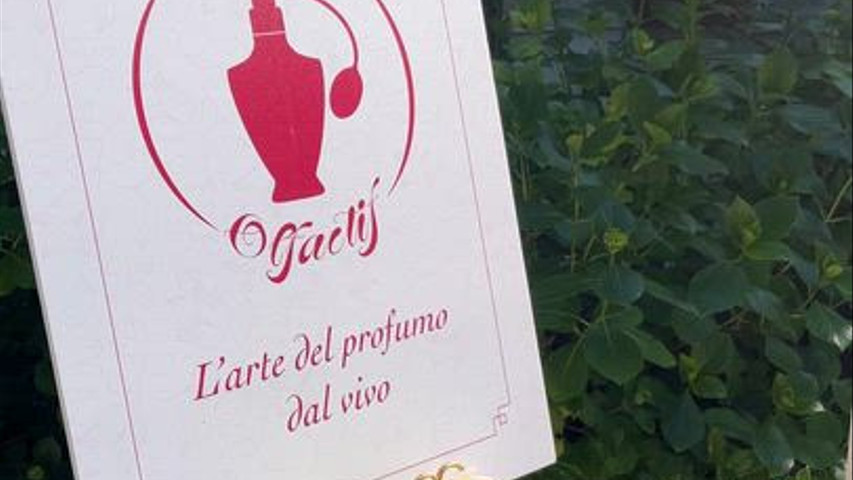 Parfum Olfactif