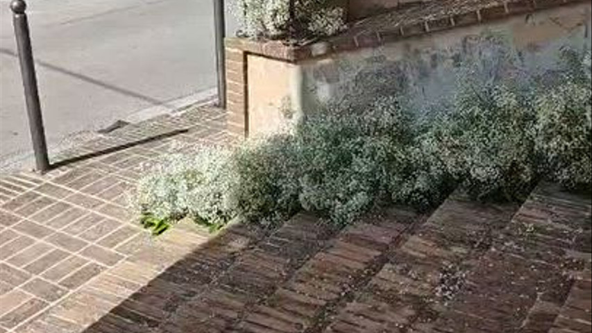 Sposi tra le nuvole 
