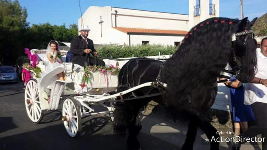 Ciolaro eventi a cavallo