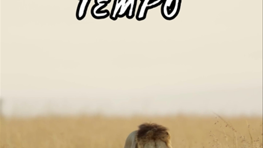 La filosofia di Terapia di Viaggio