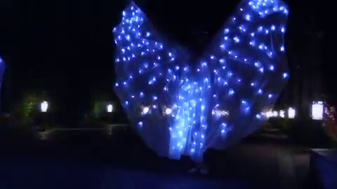 farfalle luminose