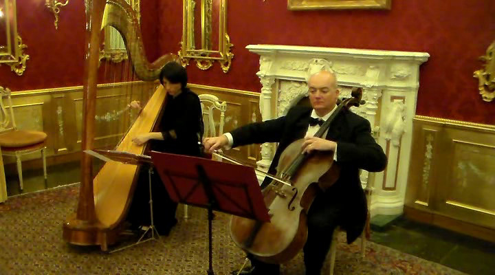 Duo Arpa e Violoncello