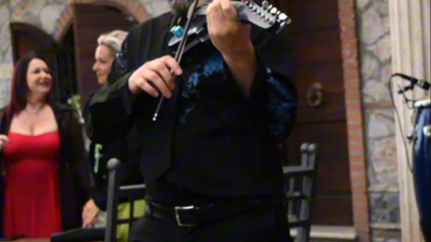Violinista