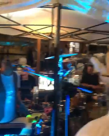 Un po di pinguini parte 3 