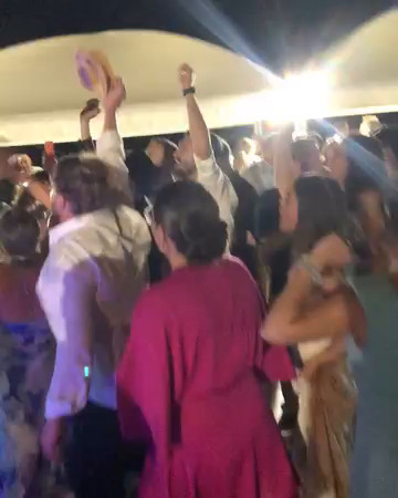 Un po di pinguini parte 2 