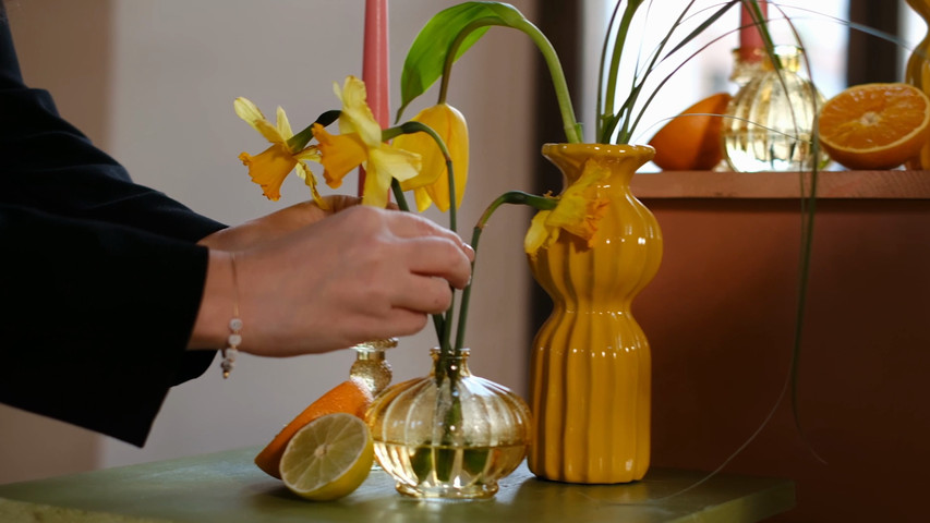 Jiyu Fiori - Videolife