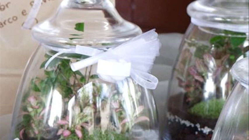 Terrarium regalo