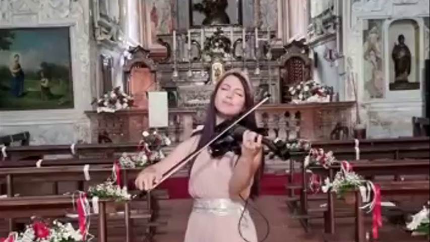 Violino