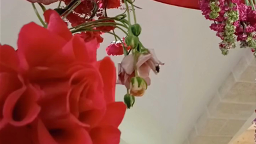 Wedding Tema POP 2025
