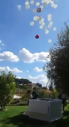 Scatola con rilascio palloncini