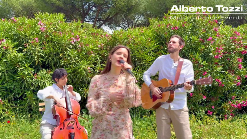 Soft/Pop Acoustic Trio