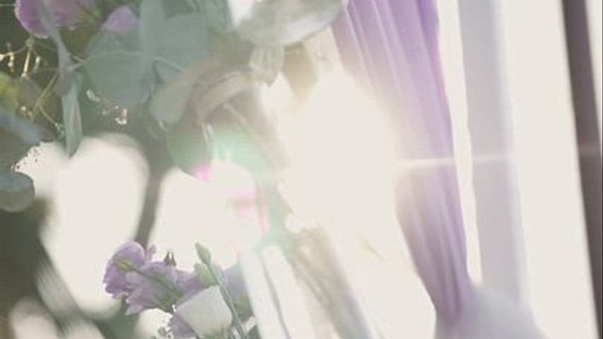 Parco Archea - Wedding