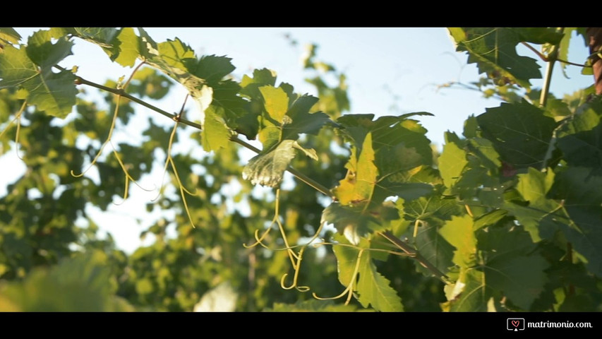 Giulia + Massimo - Wedding Trailer