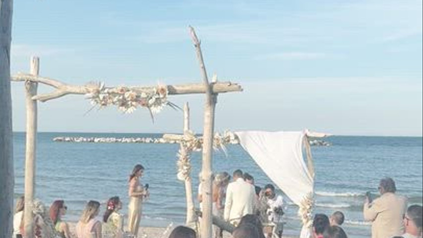 Best Of Wedding 