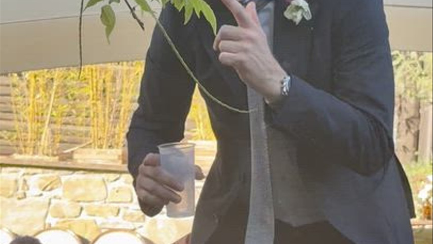 Best Of Wedding
