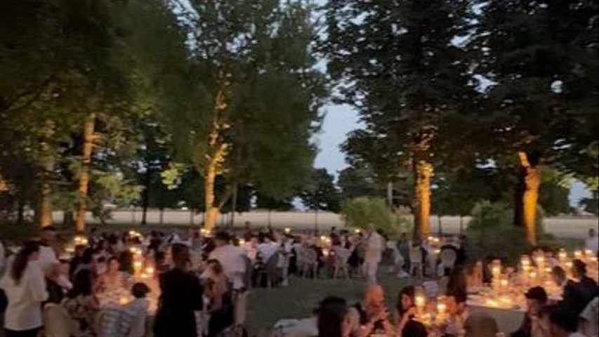 Best Of Wedding 