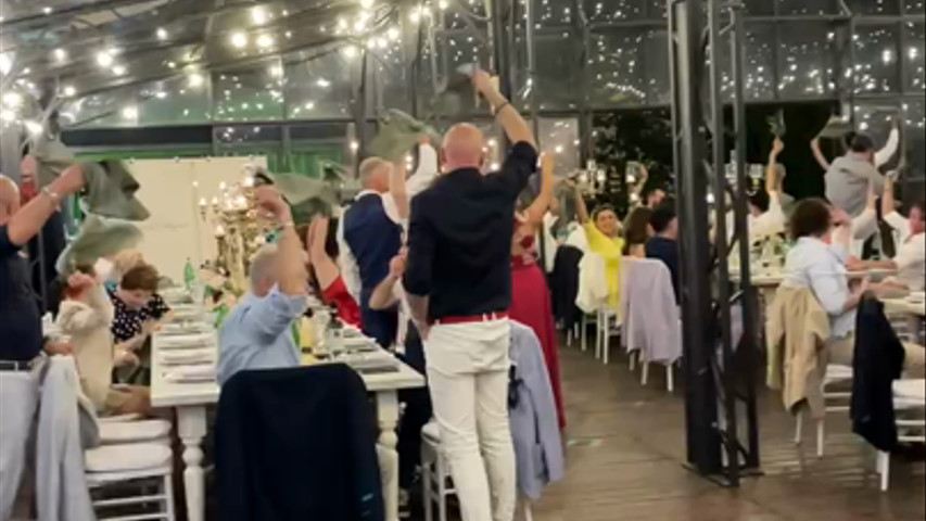 Wedding 