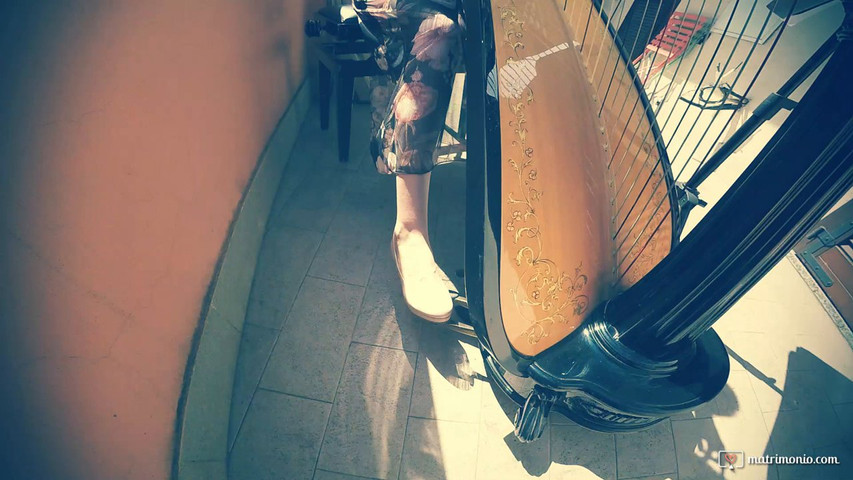 Silvia Vicario Arpista 