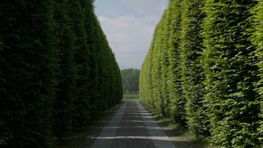 La parte esterna della Tenuta