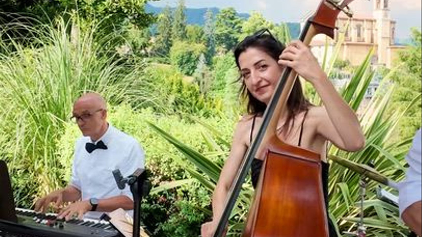 Swing Ape Live Band
