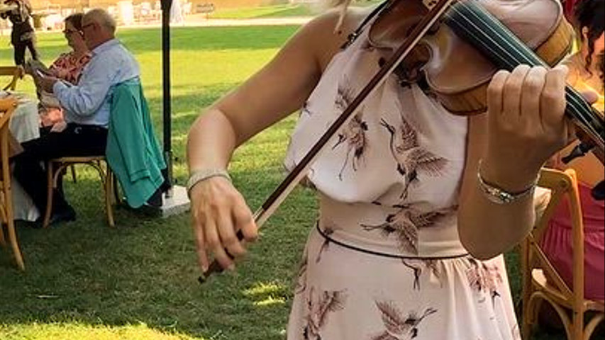 Violino Elettrico - Villa Malliana matrimonio 