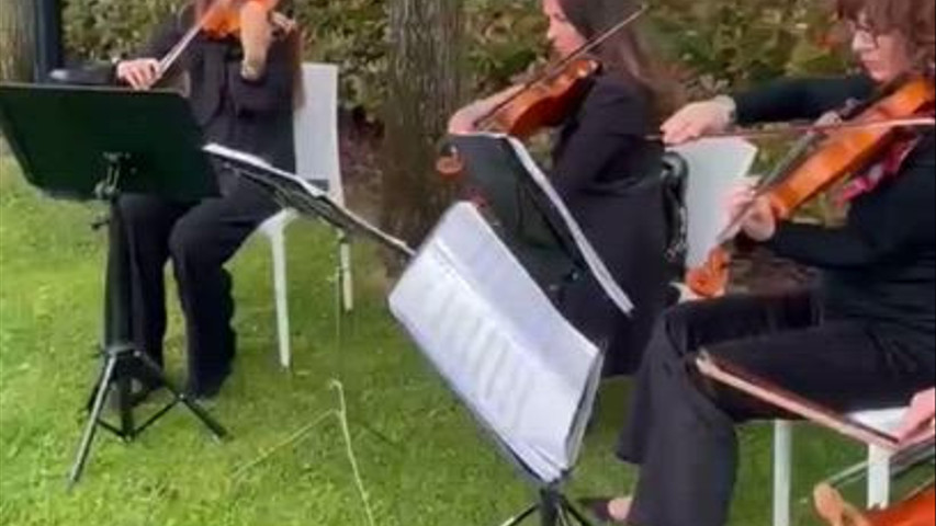 String Quartet - musica cerimonia 