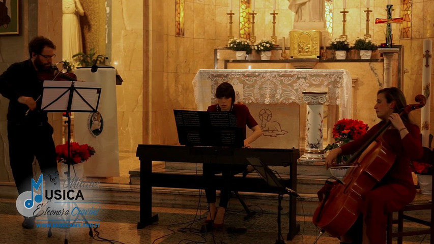 Canone di pachelbel - pianoforte violino violoncello - Novara