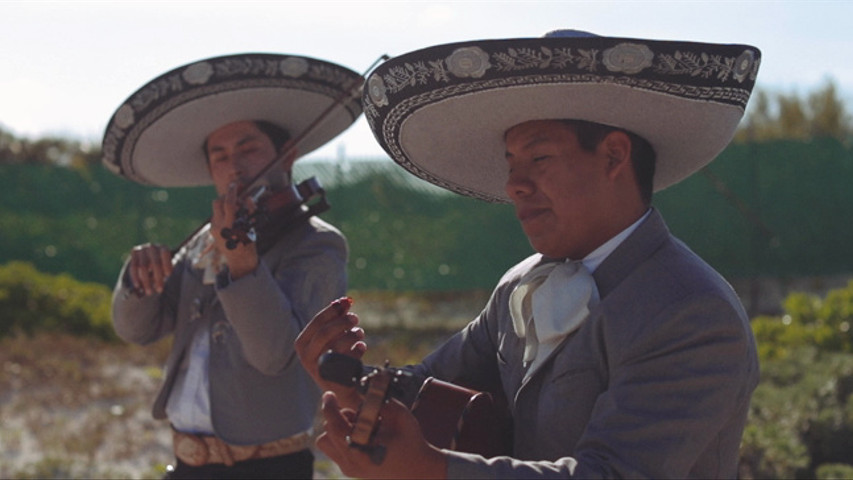 Gina & Kevin-destination wedding in Mexico