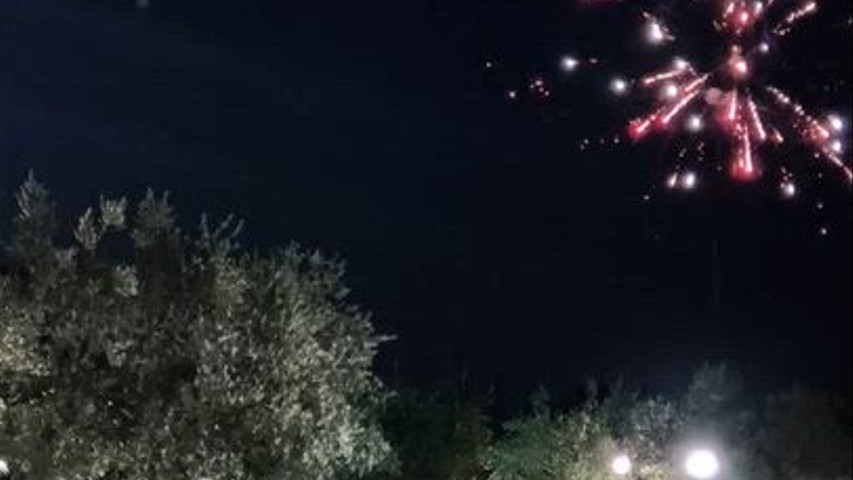 Il Parco degli Ulivi