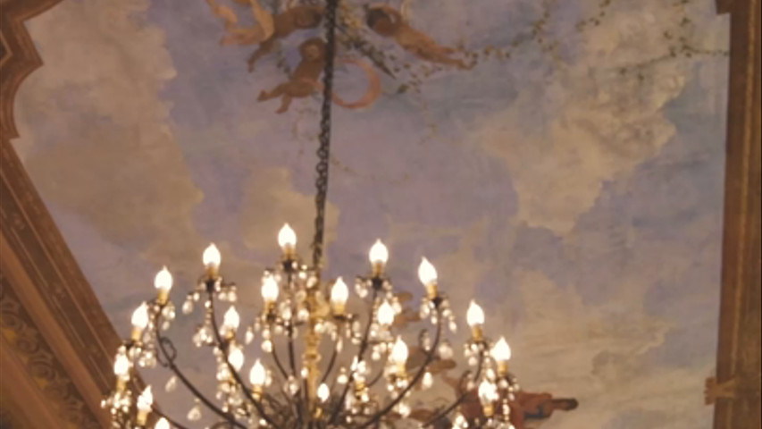 Sala ortensia