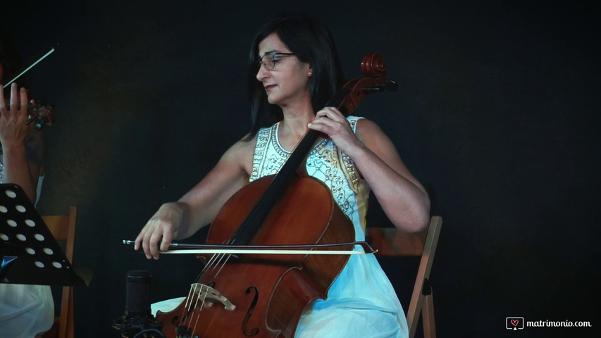 Violino e violoncello 2