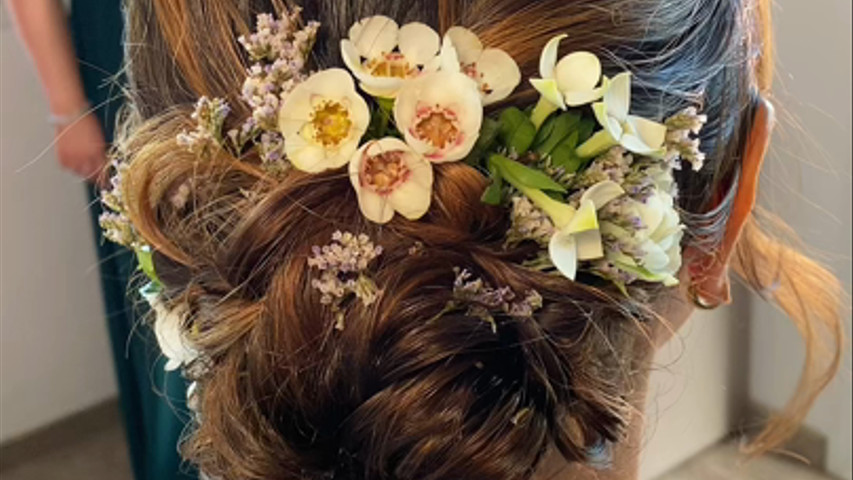 Hairstyles - Raccolti