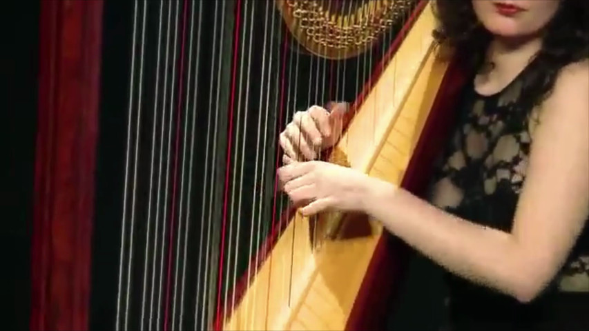 Arpa Classica Ricevimento - A Thousand Years