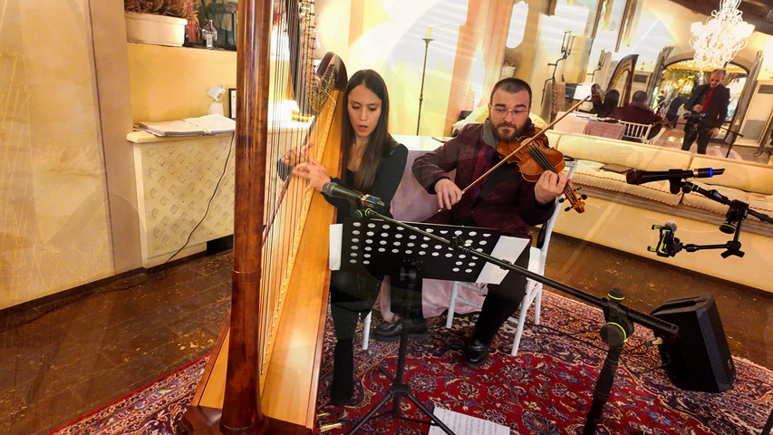 Violino e Arpa Antica_Fattoria_Di_Paterno
