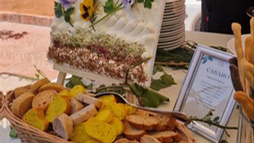 Formaggio su Tela 