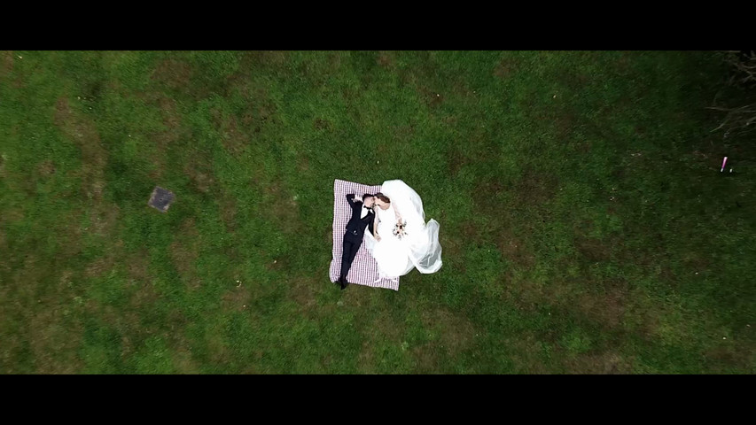 P + L