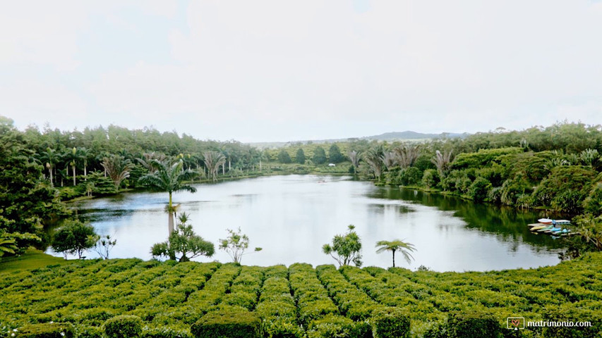 BBC - Mauritius