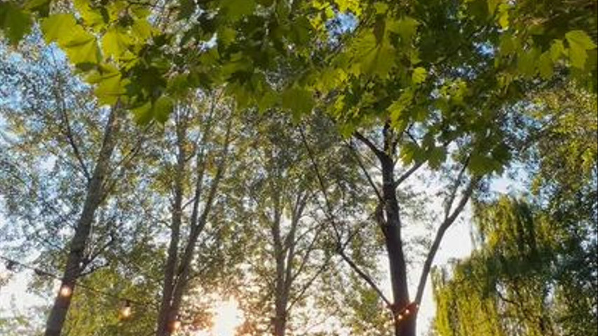 Il colore come filo conduttore - 2026 