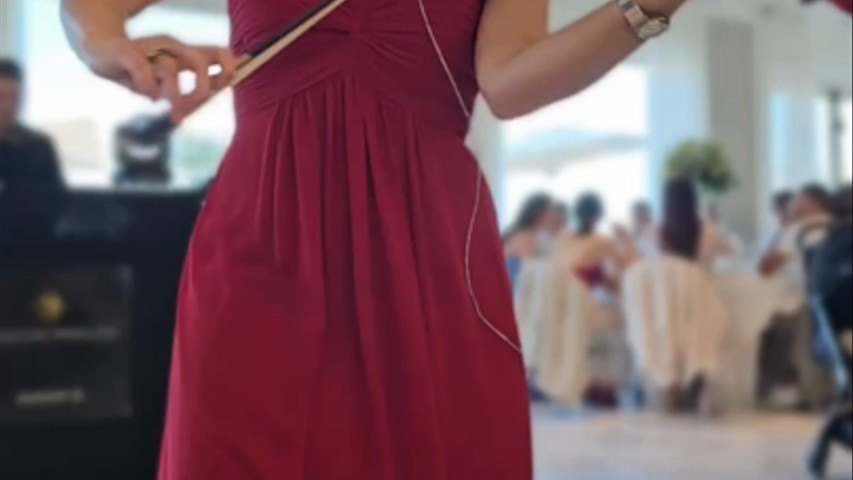 Violinista