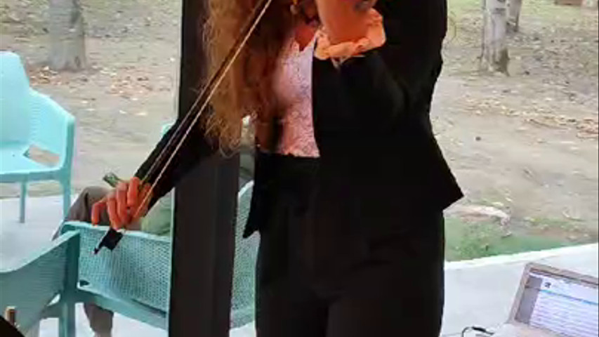 Violin
