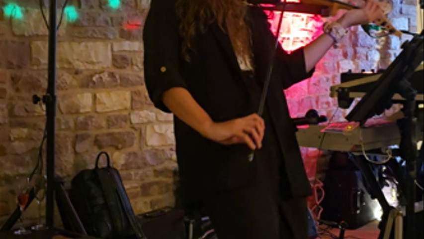 Violin