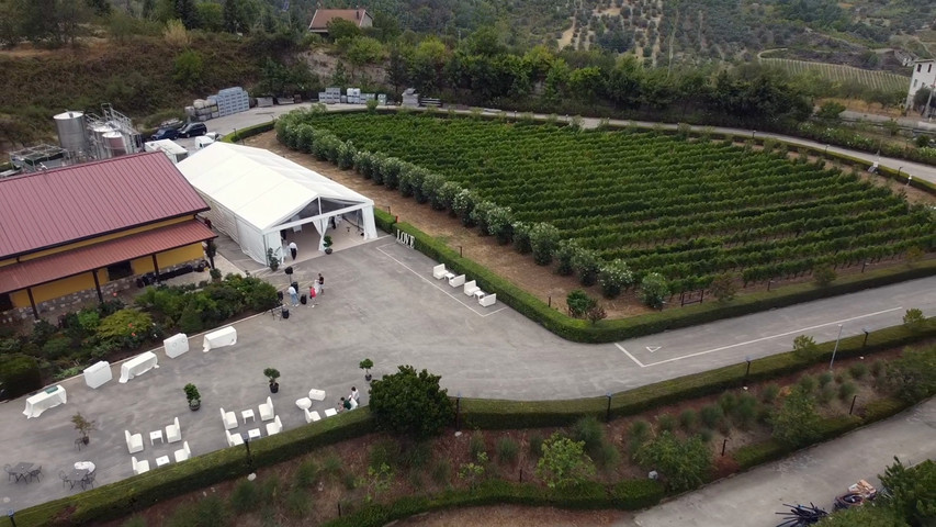 Wedding nel vigneto