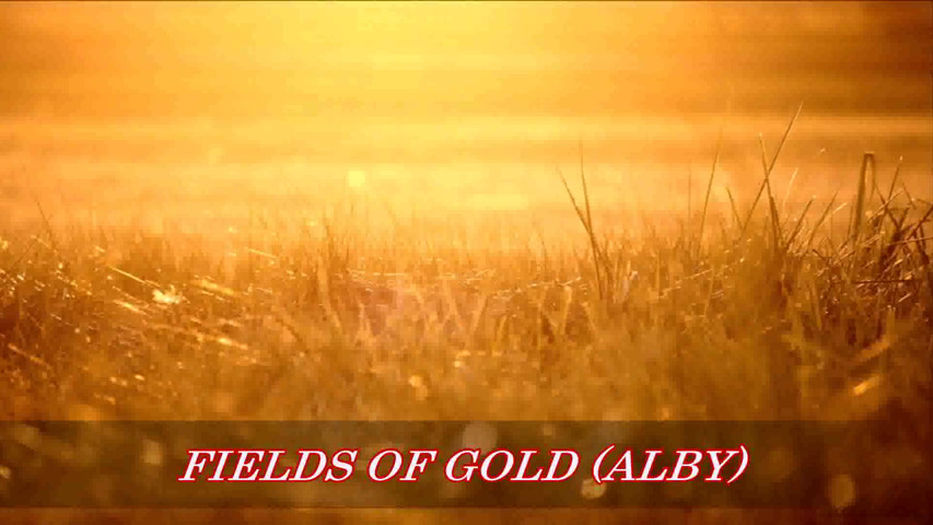 Fields of gold - Alby