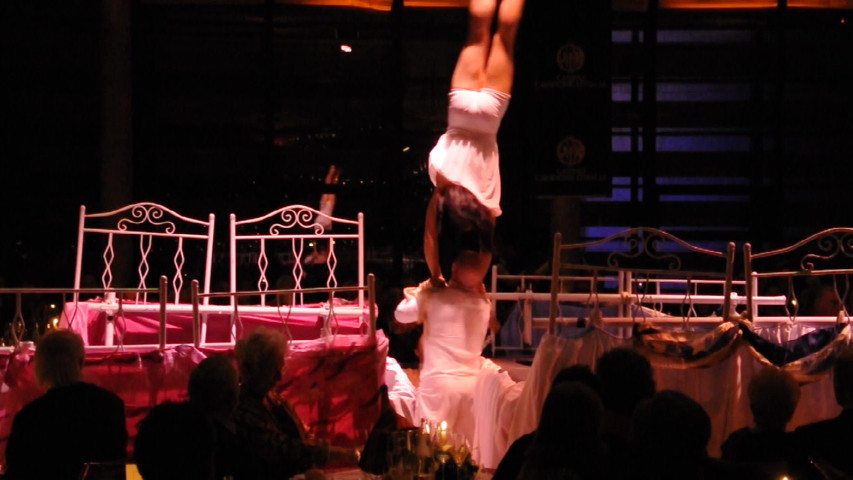 Acrobatic bed trampoline