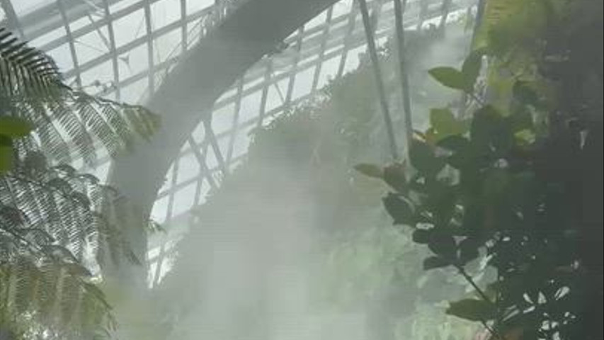 Dreamsteam - Milano 