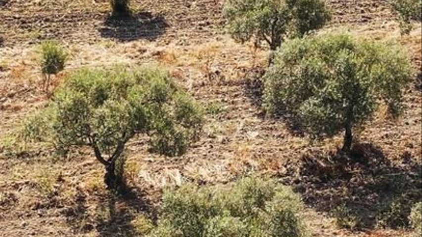 Il Trappetello - 